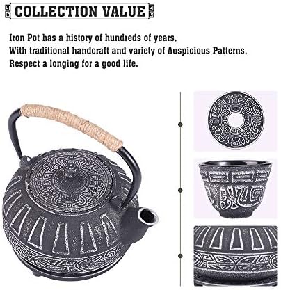 Japanese Style Cast Iron Teapot Set Tetsubin Kettle with Infuser