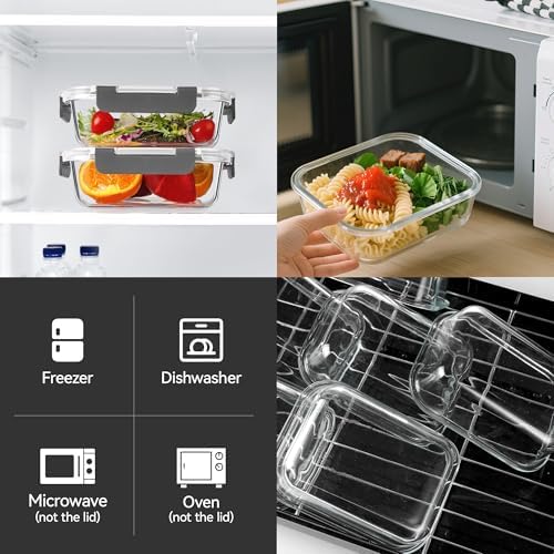 BAYZZ 10 Pack 22 oz Glass Meal Prep Containers