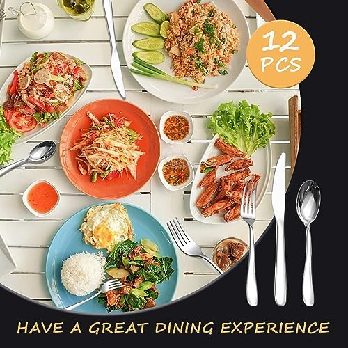 SANTUO Stainless Steel 12PCS Dinner Set combo with 4 Dinner Knives, 4