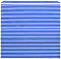 Hasegawa Plastic Sushi Rolling mat, Sushi Cooking mat, Blue Medium