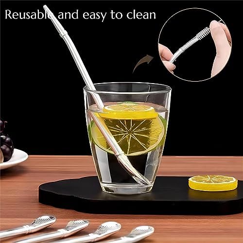 Stainless Steel Spoon Straw 4 Pack Reusable Filter
