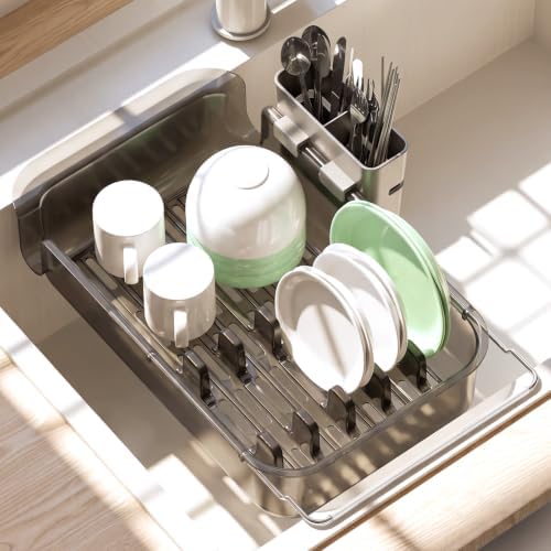 PAVSTINE Expandable Dish Drying Rack