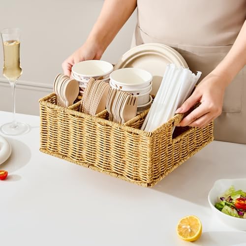Berdeng Utensil Holder for Party, Paper Plate Dispenser for
