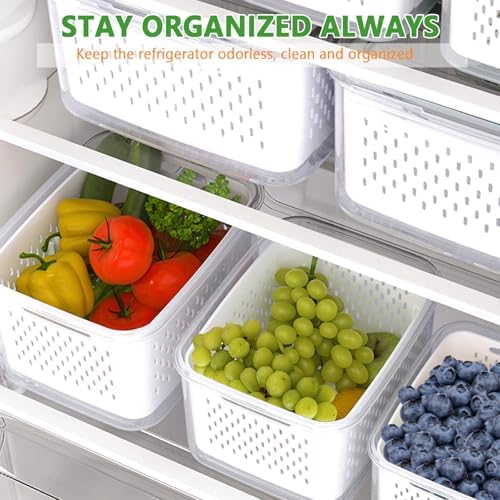 5-Piece Fruit Storage Containers with Removable Colander