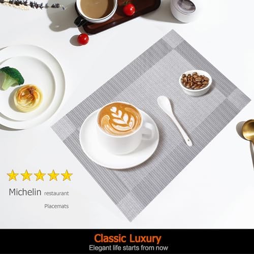Silver Grey Vinyl Placemats Set of 6, Heat Resistant Table Placemats