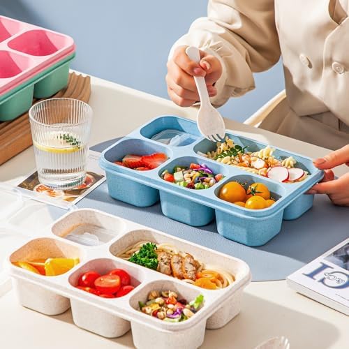 TOUWMX 4 Pack Bento Box, 5 Compartments