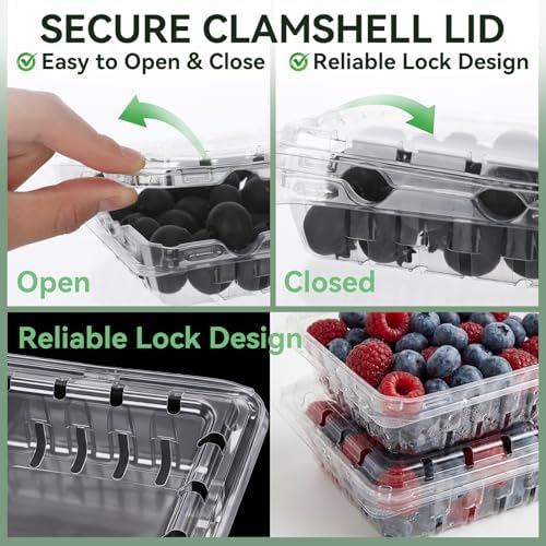 Qinyoung 100 Pcs Berry Containers 6 oz Plastic Vented Containers with