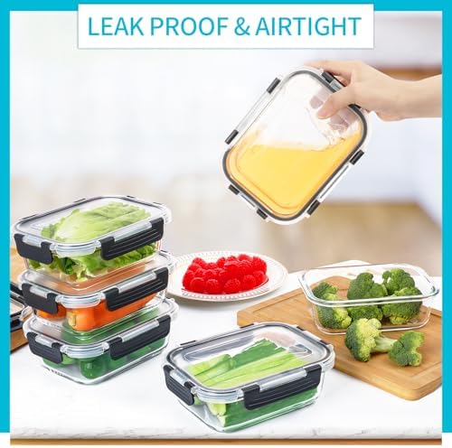 Skroam 10 Pack Glass Meal Prep Containers, 22 OZ