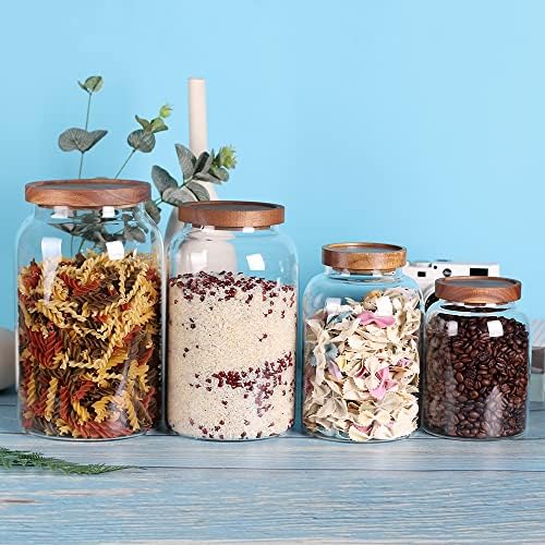 LEAVES AND TREES Y 1 Gallon Glass Jar with Airtight Lid and Anti-Skid