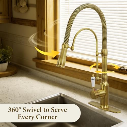 Brass Pull-Down Kitchen Faucet, Brushed Gold