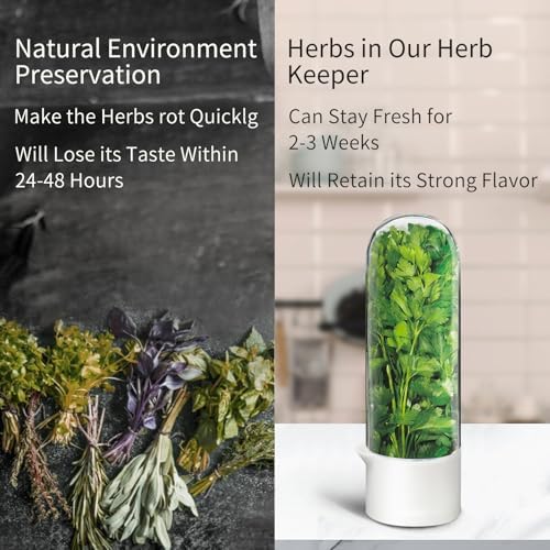 2PCS Herb Keeper Containers for Refrigerator