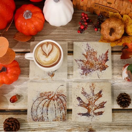 FYSUIMU 4Pcs Fall Leaves Coasters Vintage Autumn Maple Leaf Pumpkin