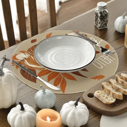 Artoid Mode Pumpkins Hello Round Fall Placemats Set of 4-14 Inch