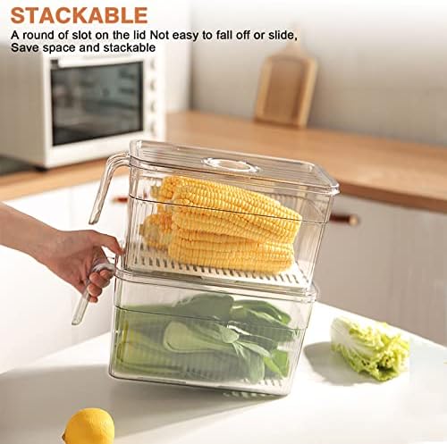 2 Pack Produce Storage Containers for Fridge, 10'' x 5.3'' x 5.2''
