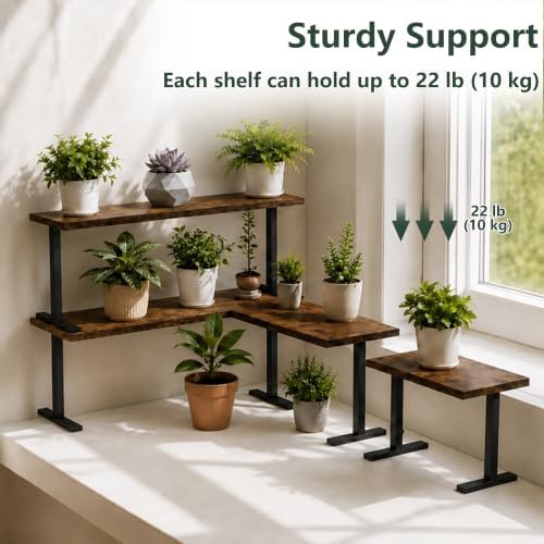 Golener Adjustable Stackable Countertop Shelf