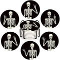 Britimes Coasters for Drinks, Set of 6, Ceramic Stone, Vintage Skull