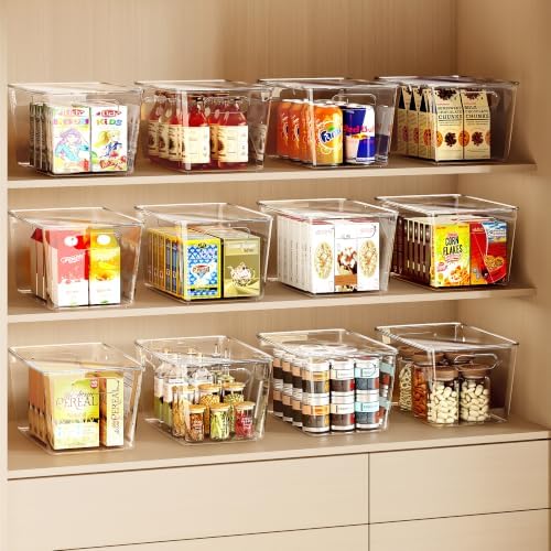 8 Pack Clear Plastic Storage Bins with Lids, XLarge
