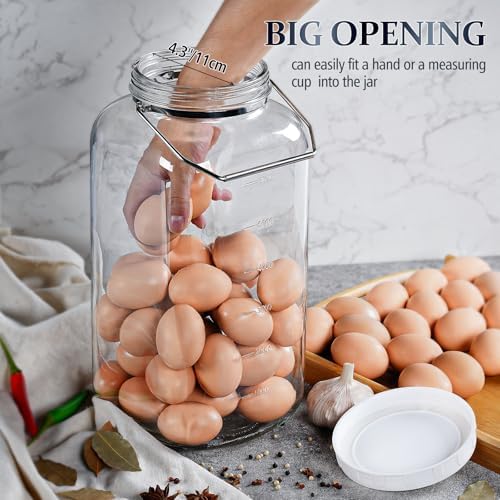 2 Gallon Glass Jar with Airtight Lid