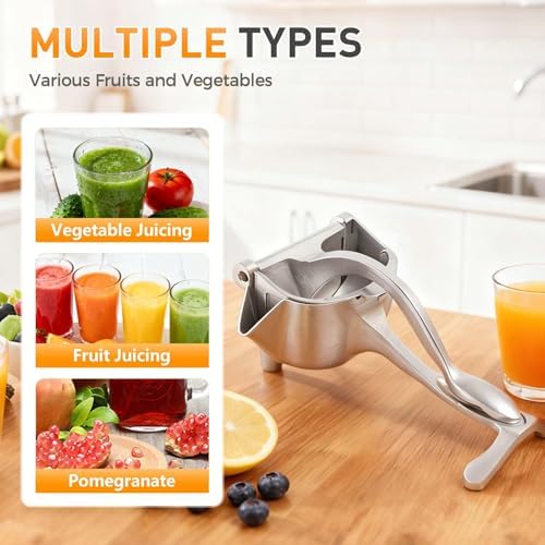 Fresh Fruit Juice Extractor, Silver