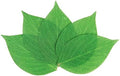 Oasis Supply Grease Resistant Leaf Cheese Paper, Disposable Cheese