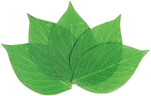 Oasis Supply Grease Resistant Leaf Cheese Paper, Disposable Cheese