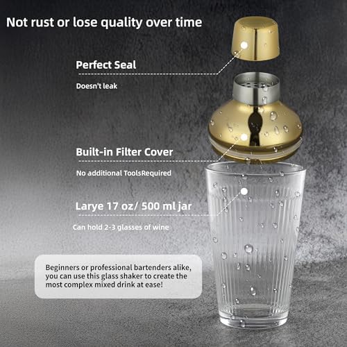 Cocktail Shaker Set 17oz, Gold Glass Martini Shaker with Strainer &