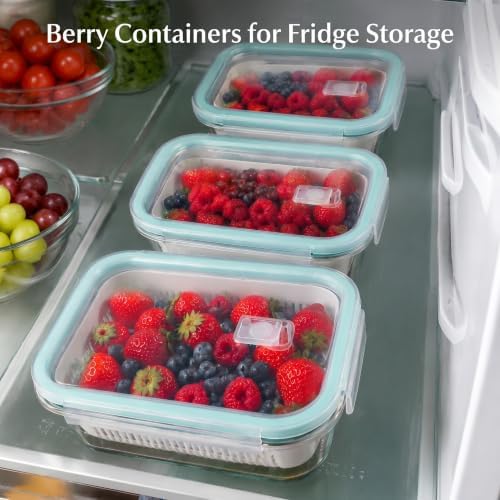 4 Pack Glass Berry Storage Containers for Fridge