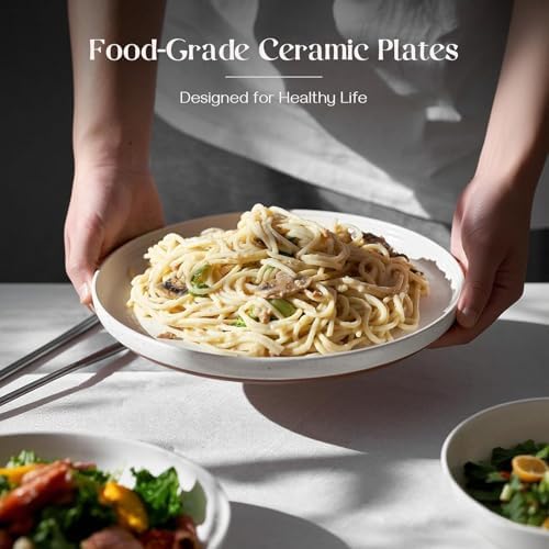 DOWAN 10.5" Large Dinner Plates Set of 6, High Edge Ceramic Plate