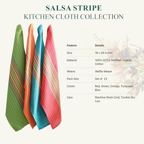 DG Collections Salsa Stripe Kitchen Dish Towels, 100% Cotton, Highly
