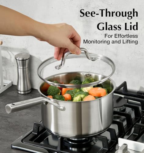 KOCH SYSTEME CS Stainless Steel Saucepan Set, 1QT & 2.5QT & 3QT Pot Set