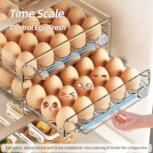 60-Egg Organizer for Refrigerator, Clear
