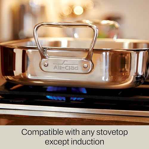 All-Clad Specialty Stainless Steel Roaster with Nonstick Rack 11x14 Inch Oven Broiler Safe 600F Roaster Pan, Pots and Pans, Bakeware, Silver