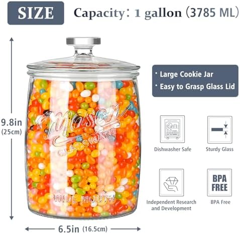 Folinstall 1 Gallon Glass Cookie Jar with Airtight Lid