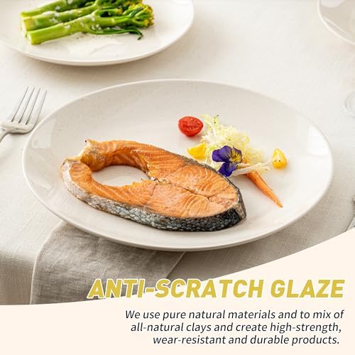 Dafuceramic Plates and Bowls Sets, 12 Pieces Modern Stoneware