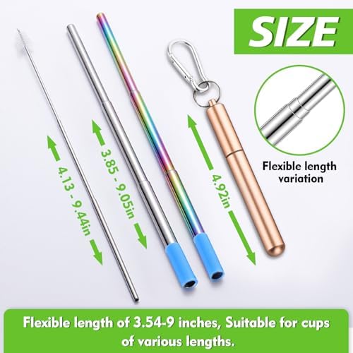 Reusable Straws 5Pack Collapsible Portable Metal Straw Reusable