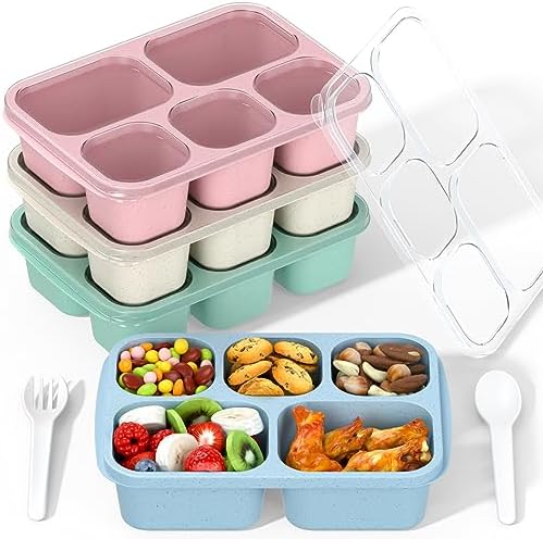 Bento Box Adult Lunch Box - 4 Pack, 5 - Compartment Meal Prep