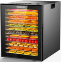 Food Dehydrator, 12 Stainless Steel Trays, 850W