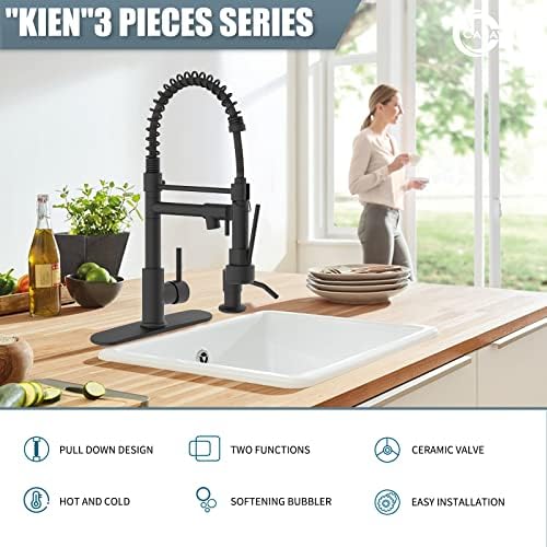 Single-Handle Kitchen Faucet with Pull-Down Sprayer, Black