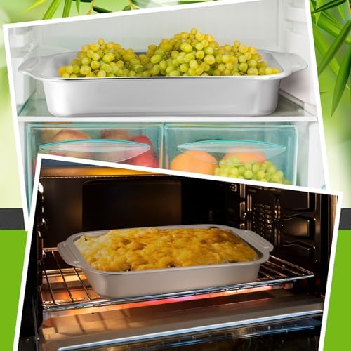 Funnymoom 2 Pcs 15 x 10 Inch Stainless Steel Cake Pan with Handle