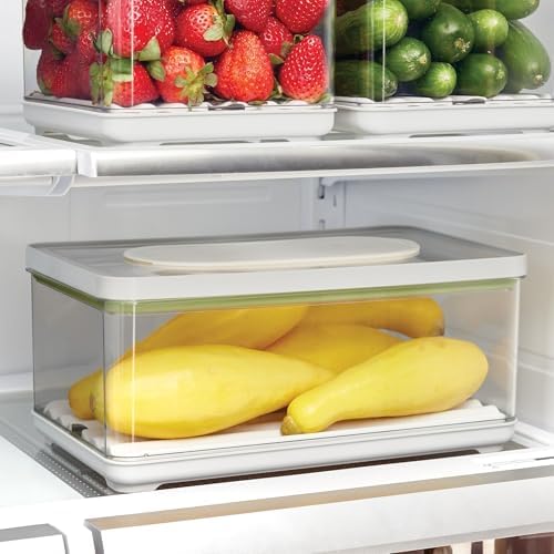 iDesign Large Fridge Produce Bin with Removable Drainage Tray and Lid
