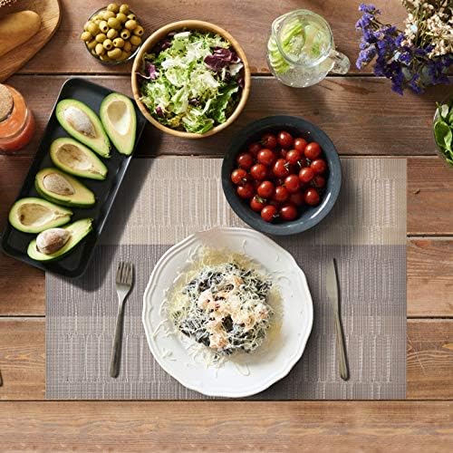 Aofmee Placemats, Placemats Set of 6, Heat Resistant Place Mats