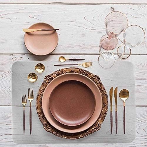 YoleShy Plastic Placemats Wipeable - 17 x 11 in Clear Placemats Set of