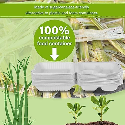 greensight 3 Compartment 8X8 Clamshell Take Out Food Container