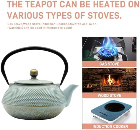 Cast Iron Teapot with Stainless Steel Infuser, 30.4oz