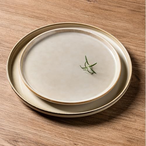 AmorArc Stoneware Dinnerware Sets for 4, 12 Piece Plates and Bowls