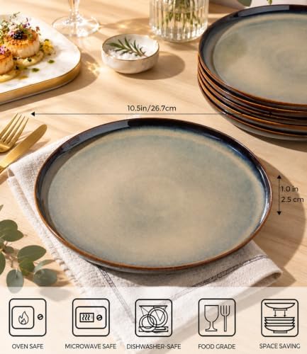 theterra Ceramic Dinner Plates Set of 6, 10.5 Inch Dinnerware Plates