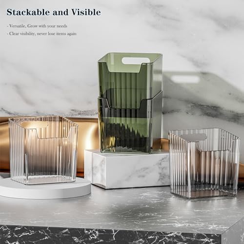 Lae Nuvole Clear Adhesive Wall Organizer Bins, Cabinet Door Storage