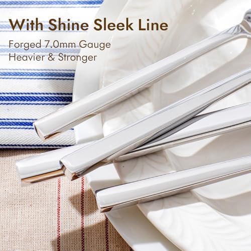 Silverware Set for 4, 20 Piece Flatware Set, Stainless Steel