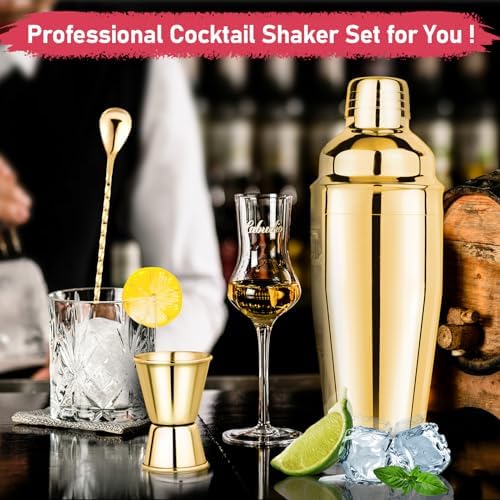 24oz Cocktail Shaker Set Martini Shaker Set Bartender Set