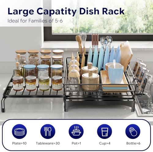 Simple Trending Expandable Dish Drying Rack, Black